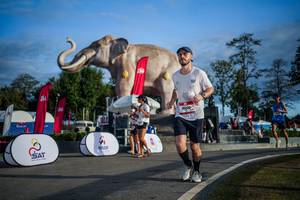 BIB: 
                            <button type="button" onclick="openModal(26541784)" class="btn btn-primary btn-sm float-right btn-popup" data-toggle="modal" data-target=".modal-high-quality">
                        <i class="fas fa-shopping-cart"></i> Add to Cart
                    </button>
                                            <button type="button" onclick="isThisMe(26541784, true)" class="btn btn-success btn-sm float-right btn-popup btn-isme hidden" data-toggle="tooltip" data-placement="bottom" title="นี่คือรูปของคุณใช่ไหม คลิกที่นี่เพื่อเอาเข้าอัลบั้ม">
                        <i class="fas fa-plus"></i> Add to album
                    </button>
                    <button type="button" onclick="isThisMe(26541784, false)" class="btn btn-warning btn-sm float-right btn-popup btn-isnotme hidden">
                        <i class="fas fa-ban"></i> Remove from album
                    </button>